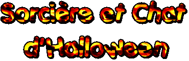 sorciere-et-chat-halloween.gif